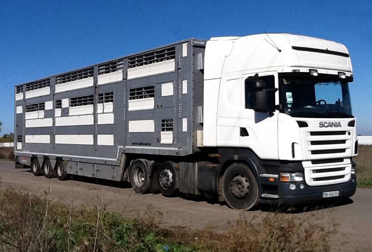 Заказать скотовоз для крупного рогатого скота из Новошахтинска в Новочеркаска